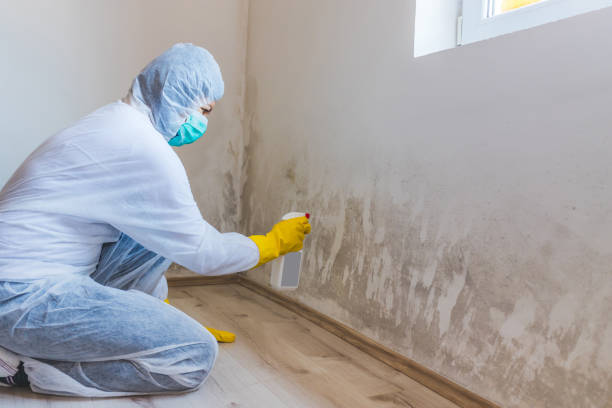 Licensed Mold Testing service in Osterburg, PA - WQB Mold Removal