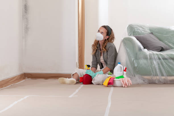 Reliable Mold Testing contractor in Osterburg, PA by WQB Mold Removal